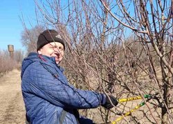 Весняна обрізка стартувала в Уманському НУС