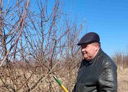 Весняна обрізка стартувала в Уманському НУС