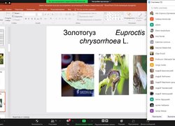 Основи продовольчої безпеки від аграріїв: продовжується серія вебінарів від науковців Уманського національного університету садівництва