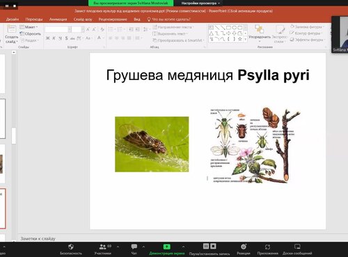Основи продовольчої безпеки від аграріїв: продовжується серія вебінарів від науковців Уманського національного університету садівництва