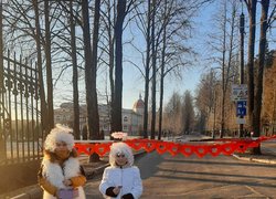 Гостини Святого Валентина в Уманському НУС