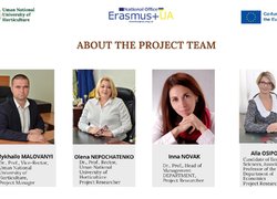 Project team