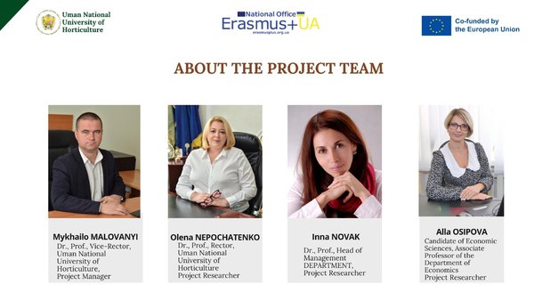 Project team