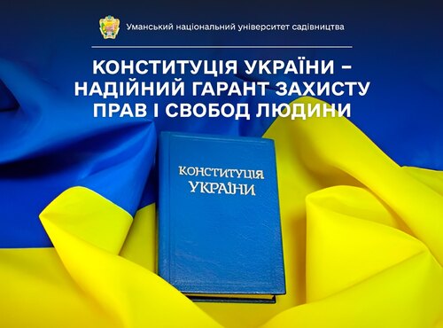 Що ви знаєте про Конституцію? Студенти-учасники дискусійного клубу досліджували головний Закон України
