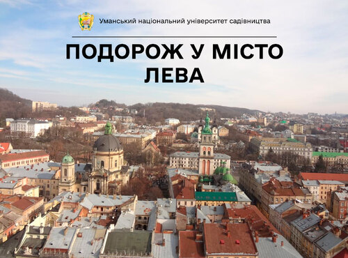Львів – левова велич України