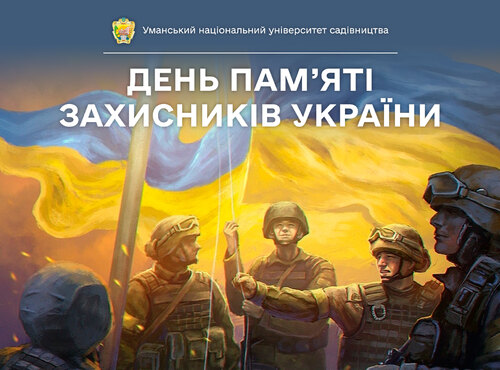 Квітують соняхи на спомин подвигу захисників України