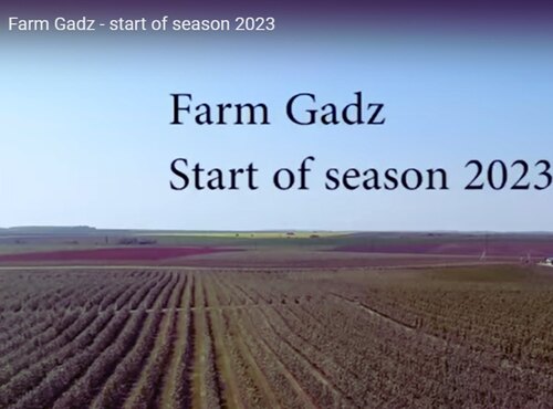 From classroom to production: graduates of Uman National University of Horticulture implement innovations at Gadz Farm