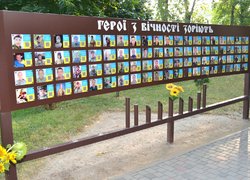 Квітують соняхи на спомин подвигу захисників України