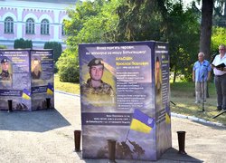 Квітують соняхи на спомин подвигу захисників України