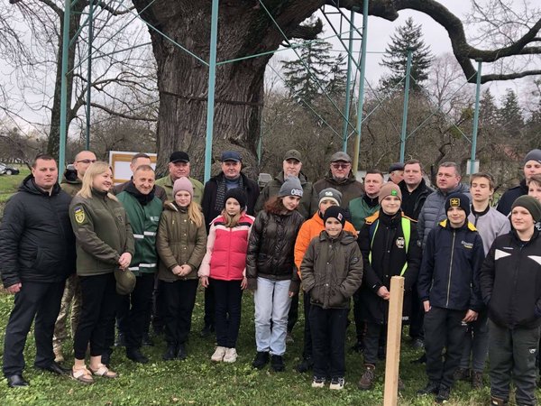 Дуби Шевченка єднають Україну