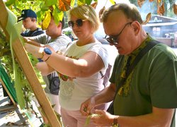 Freedom Fest 2023: вільні люди об’єднуються заради свободи