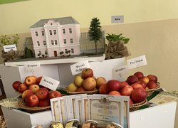 Делегація Уманського національного університету садівництва представила наукові розробки закладу освіти на заході "Наука та інновації Черкащини"