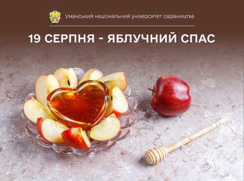 19 серпня - Яблучний Спас