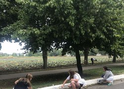 Всеукраїнська акція "Хай небо буде мирним, а Україна чистою" в нашому університеті триває...
