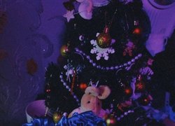 Студентські канікули  - 2024