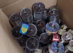 Студентські канікули  - 2024