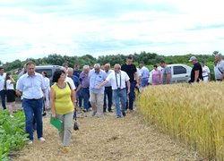 Науково-практична конференція «Актуальні пріоритети сучасної аграрної освіти, науки і практики» з нагоди 60-річчя стаціонарного польового досліду кафедри агрохімії і ґрунтознавства та 180-річчя університету