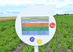 Науково-практична конференція «Актуальні пріоритети сучасної аграрної освіти, науки і практики» з нагоди 60-річчя стаціонарного польового досліду кафедри агрохімії і ґрунтознавства та 180-річчя університету