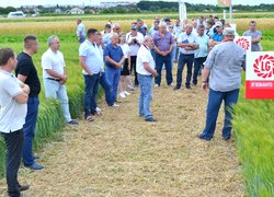 Науково-практична конференція «Актуальні пріоритети сучасної аграрної освіти, науки і практики» з нагоди 60-річчя стаціонарного польового досліду кафедри агрохімії і ґрунтознавства та 180-річчя університету