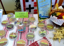 В Уманському національному університеті садівництва відзначили День науки 