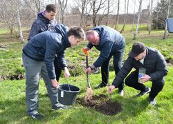 В Уманському національному університеті садівництва посадили вербу Шевченка