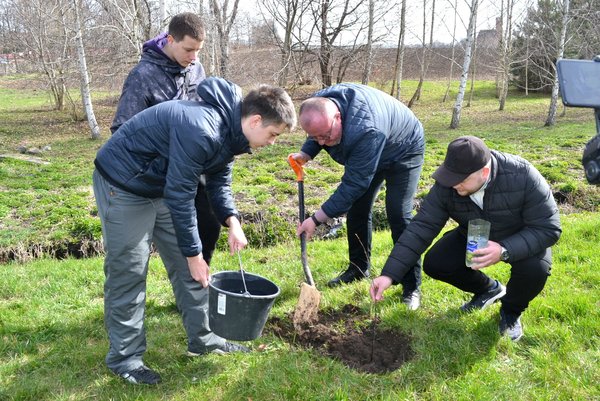 В Уманському національному університеті садівництва посадили вербу Шевченка