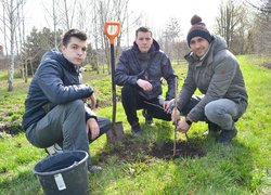 В Уманському національному університеті садівництва посадили вербу Шевченка