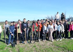 Традиції Уманського НУС — студенти висадили яблуні до університетського саду