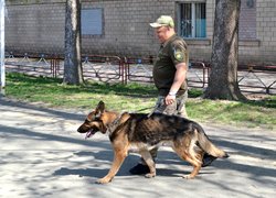 Колектив Уманського НУС познайомився з роботою поліцейських кінологів та їхніх вихованців 