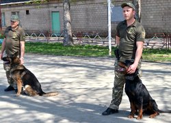 Колектив Уманського НУС познайомився з роботою поліцейських кінологів та їхніх вихованців 