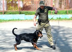Колектив Уманського НУС познайомився з роботою поліцейських кінологів та їхніх вихованців 