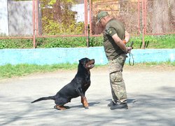 Колектив Уманського НУС познайомився з роботою поліцейських кінологів та їхніх вихованців 