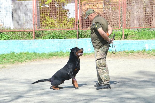 Колектив Уманського НУС познайомився з роботою поліцейських кінологів та їхніх вихованців 
