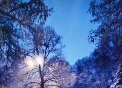 В університеті садівництва визначили переможців фотоконкурсу «Сучасність УНУС у світлинах»