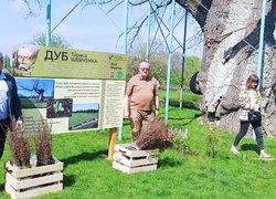 «Шевченко єднає Україну»: Керівництво Уманського НУС долучилось до висаджування дубів Кобзаря