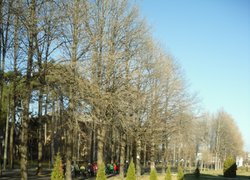 Гортаючи календар