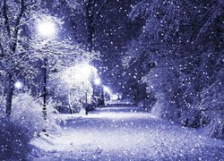 Шляхами Святого Миколая