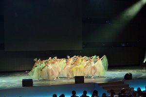 Калейдоскоп життя творчих колективів Уманського НУС