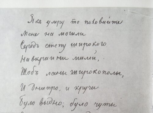 «…серед степу широкого на Вкраїні милій»:  книжкова подорож у минуле