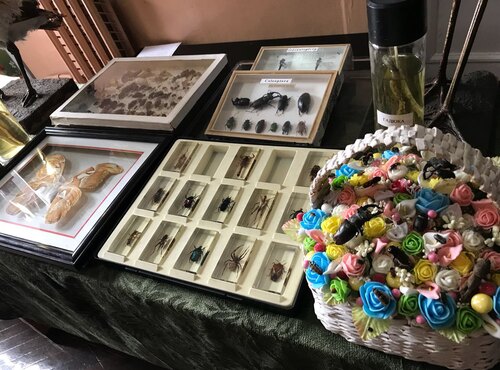 День відкритих дверей