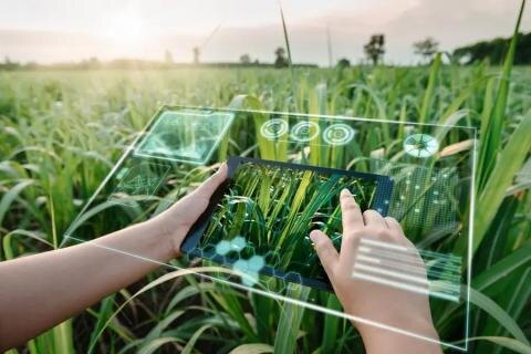 НОВАТОРСЬКА ІНТЕЛЕКТУАЛЬНА ПЛАТФОРМА ДЛЯ ДРІБНИХ ФЕРМЕРІВ