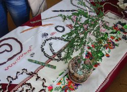 Робота викладача кафедри рослинництва С.О. Третькової