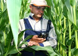 Agronomy
