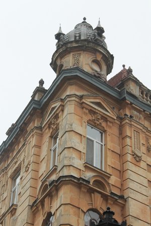 Студенти факультету економіки й підприємництва святкували День студента у Львові