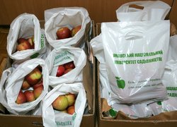Волонтерські дива Святого Миколая