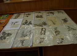 Ми вклоняємось Вам, ветерани
