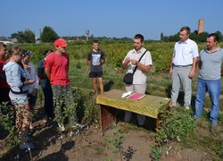 Ознайомлення з умовами конкурсу проводить ст. викладач кафедри плодівництва і виноградарства Буцик Р.М.