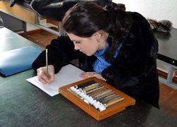 Визначивши овочеву рослину, слід записати латинську назву