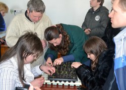 Жвавий інтерес до щеплення помідора