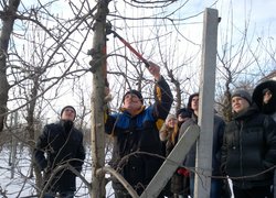 Майстер-клас з обрізування дерева від Миколи Олійника